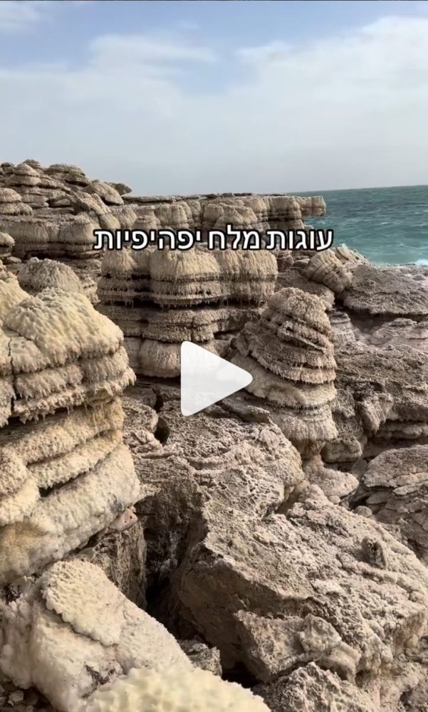 אוריה כהן - טיולי בולענים בים המלח - עוגות המלח