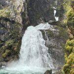 IMG_0286