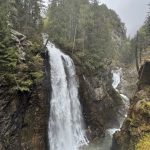 IMG_0312